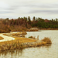 Winding Trail