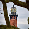 Lighthouse through the trees